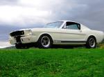 1965 Shelby Mustang GT 350