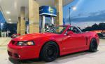 2003 Ford SVT MUSTANG Cobra