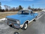 1973 Dodge D100