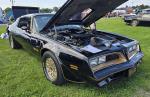 1977 Pontiac Trans Am SE