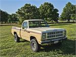 1979 Dodge Palomino